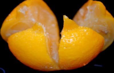Citron Confit au Sel