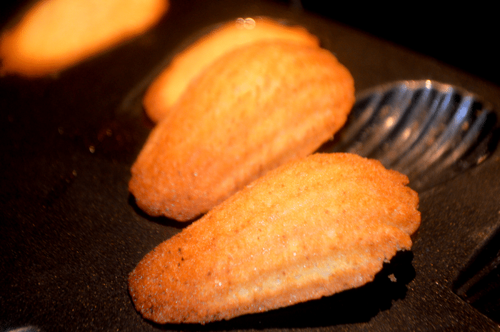 Les Madeleines de Proust Recette INRATABLE !